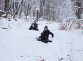 Enlarge photo 42