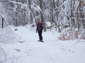 Enlarge photo 48