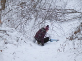 Enlarge photo 49