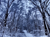Enlarge photo 64