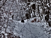 Enlarge photo 67