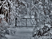 Enlarge photo 68