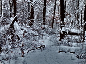 Enlarge photo 69