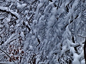 Enlarge photo 72