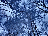Enlarge photo 74