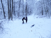 Enlarge photo 78