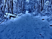 Enlarge photo 85