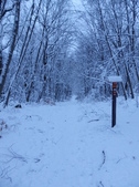 Enlarge photo 87