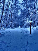 Enlarge photo 88