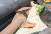 Enlarge photo 27