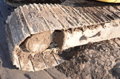 Enlarge photo 34