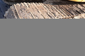 Enlarge photo 41