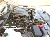 Enlarge photo 29
