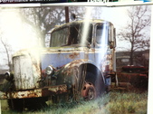 Enlarge photo 111