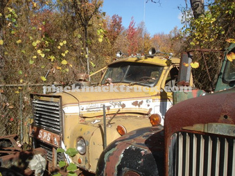 Enlarge photo 119