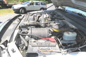 Enlarge photo 40