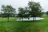 Enlarge photo 80