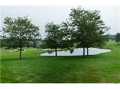 Enlarge photo 42