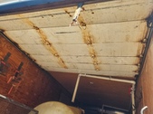 Enlarge photo 41
