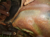 Enlarge photo 20