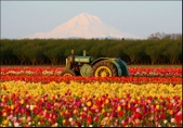 Enlarge photo 36