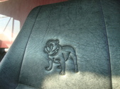 Enlarge photo 10