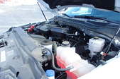 Enlarge photo 31