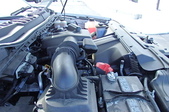 Enlarge photo 33