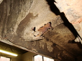 Enlarge photo 124