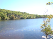 Enlarge photo 171
