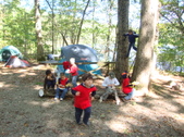 Enlarge photo 172