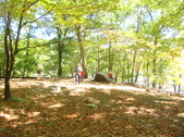 Enlarge photo 176