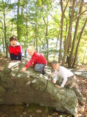 Enlarge photo 179