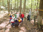 Enlarge photo 196