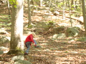 Enlarge photo 199