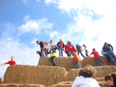 Enlarge photo 222