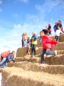 Enlarge photo 228