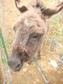 Enlarge photo 251
