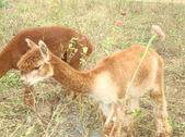 Enlarge photo 253