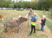 Enlarge photo 259