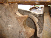 Enlarge photo 278