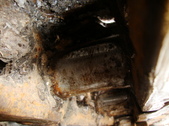 Enlarge photo 351