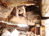 Enlarge photo 355