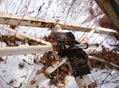Enlarge photo 381