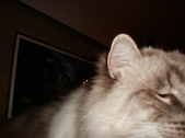 Enlarge photo 395