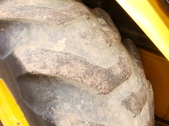 Enlarge photo 419