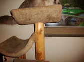 Enlarge photo 440