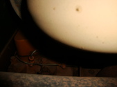 Enlarge photo 518