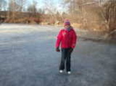 Enlarge photo 527