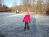 Enlarge photo 537